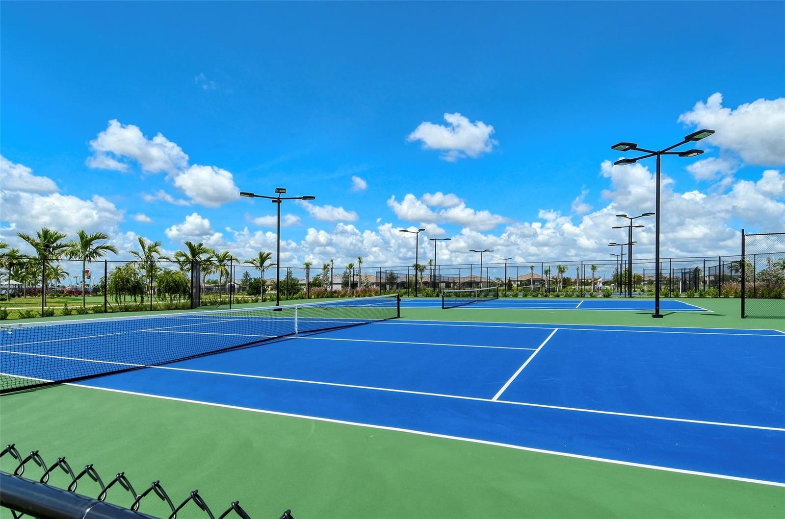 15221 LYLA TER, LAKEWOOD RANCH, FL, 34211