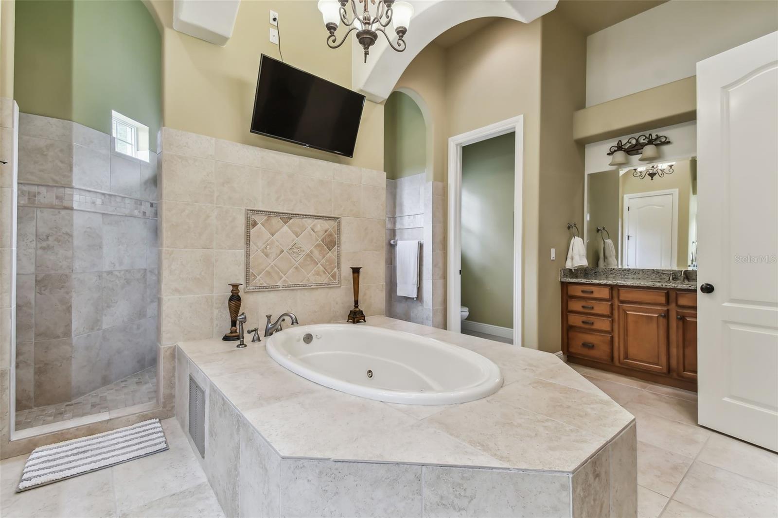 12709 MANNHURST OAK LN, LITHIA, FL, 33547