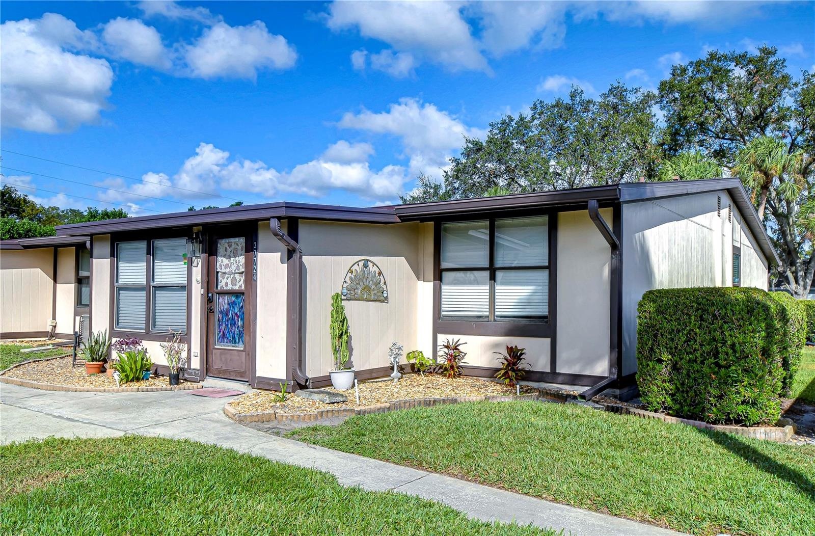 37724 ALISSA DR, ZEPHYRHILLS, FL, 33542