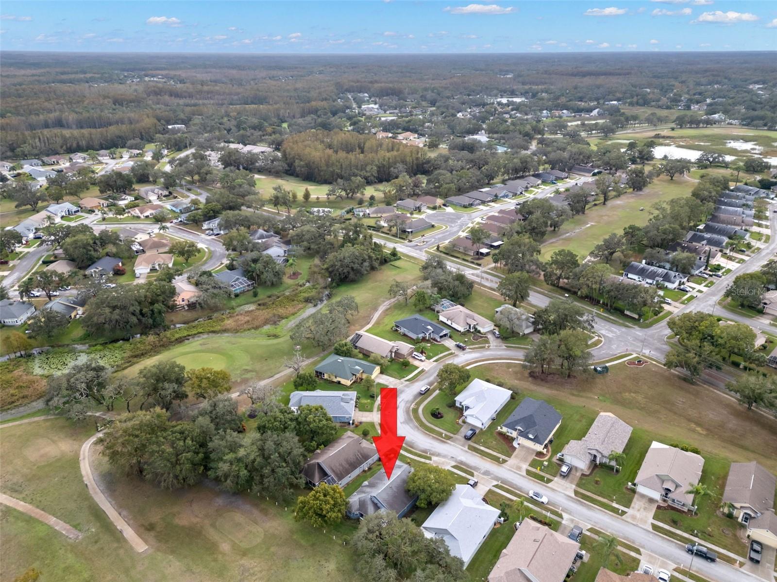 13229 GOLF RIDGE PL, HUDSON, FL, 34669