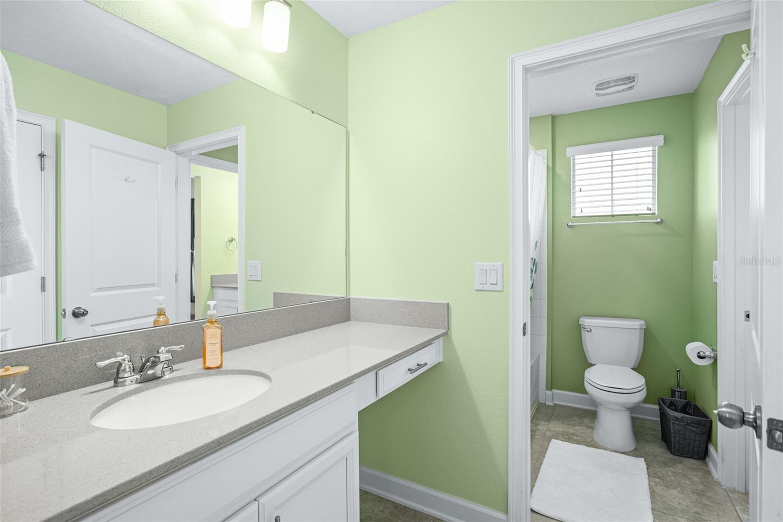 11024 FOLKLORE ST, WINTER GARDEN, FL, 34787