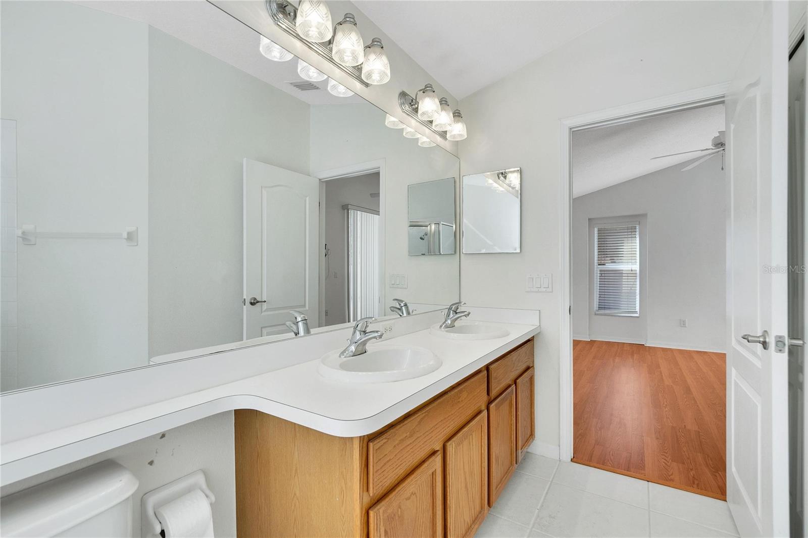 8534 CARRIAGE POINTE DR, GIBSONTON, FL, 33534