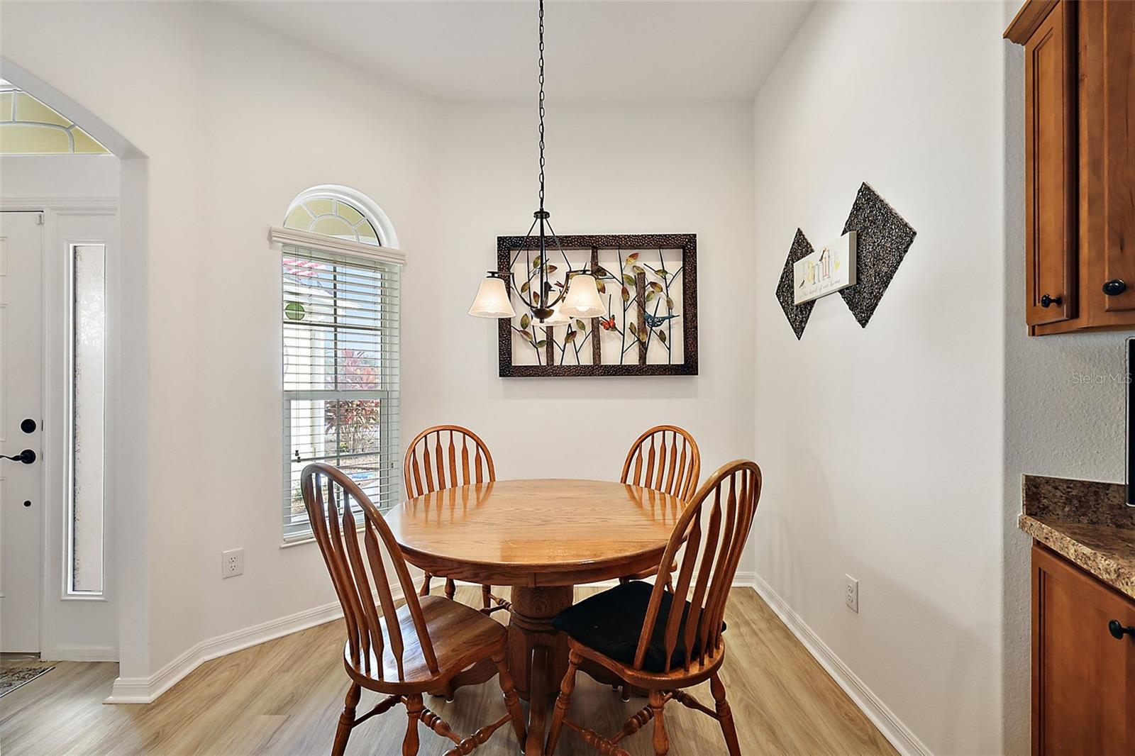 1095 BLOUNT AVE, THE VILLAGES, FL, 32163