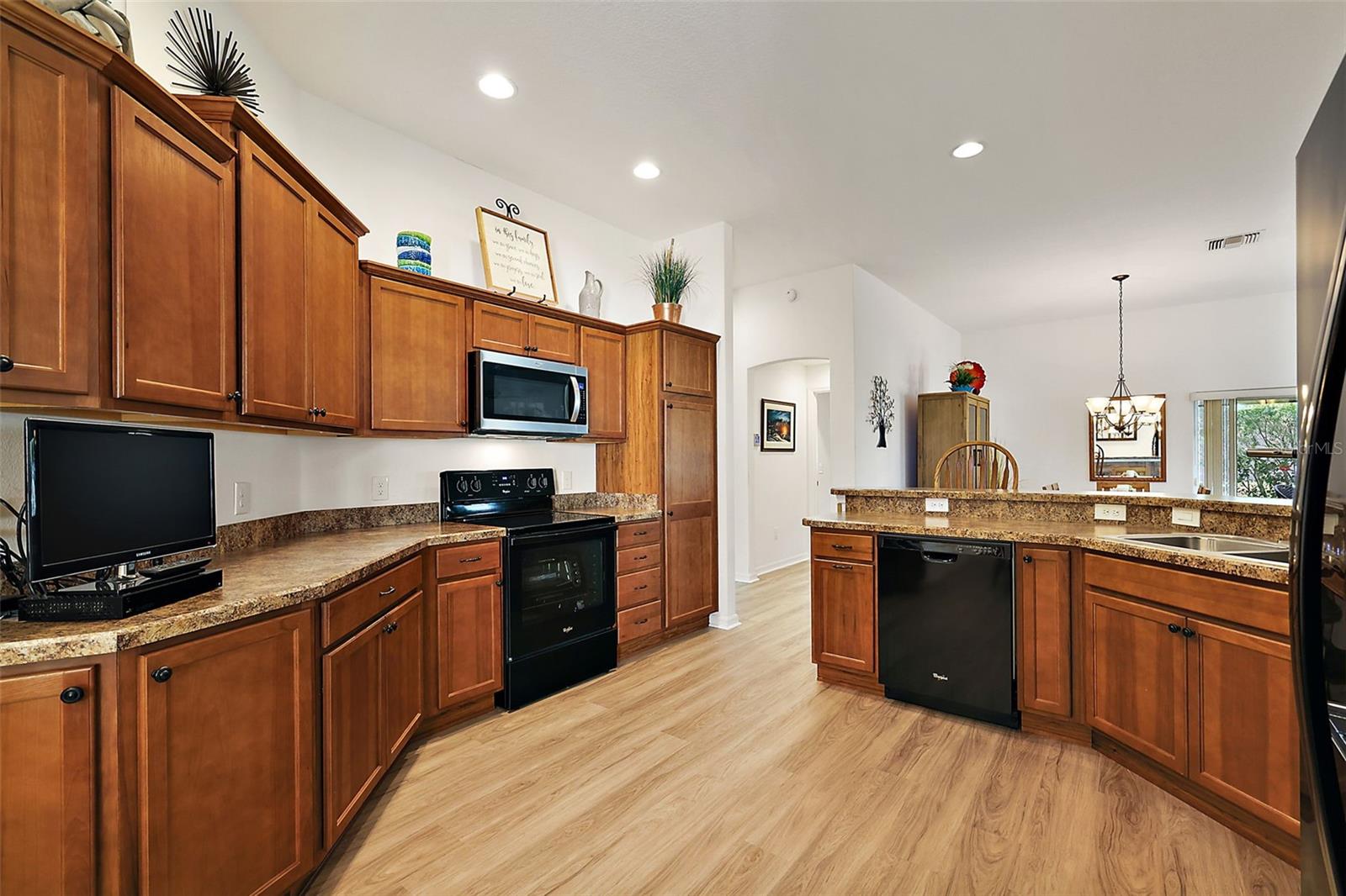 1095 BLOUNT AVE, THE VILLAGES, FL, 32163