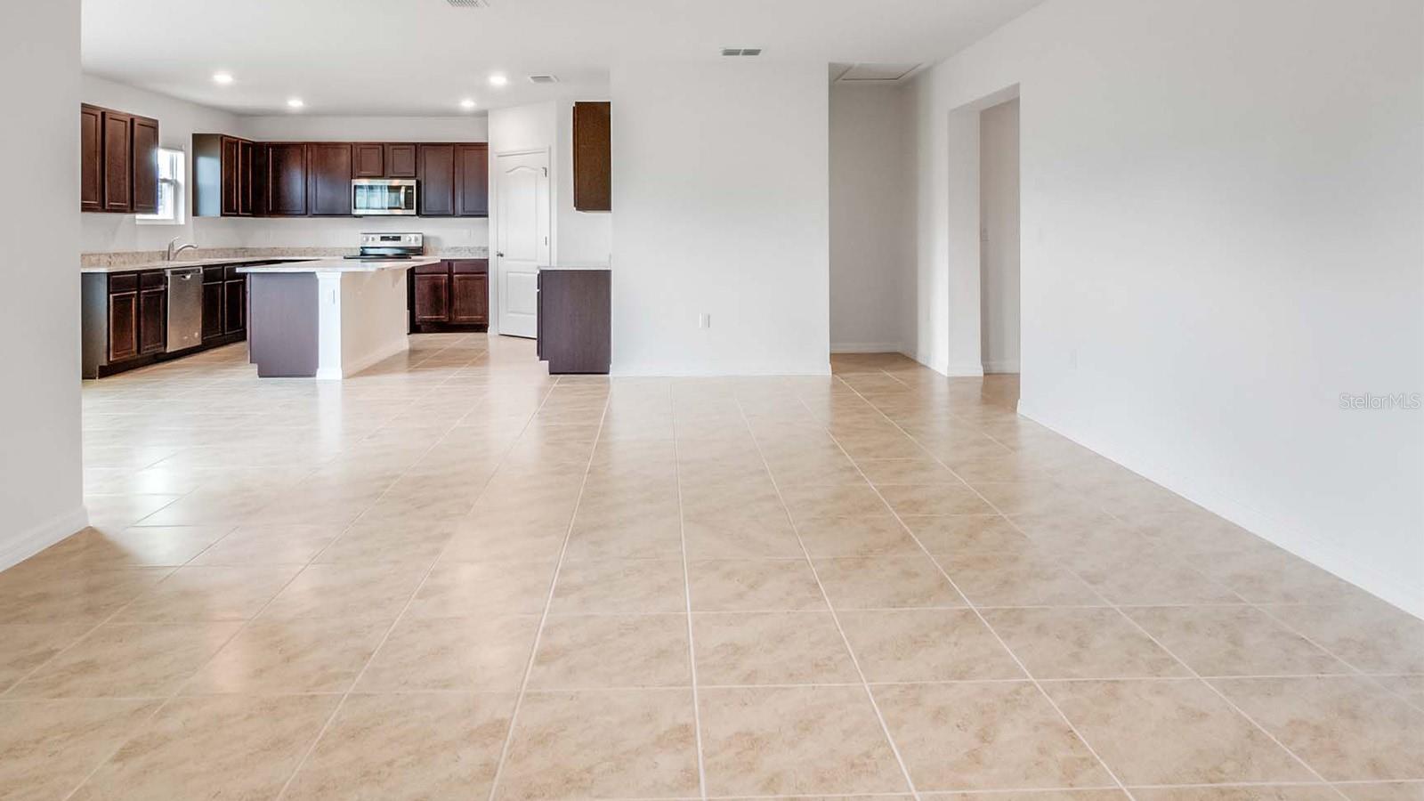 1209 LIMBALI ST, MOUNT DORA, FL, 32757