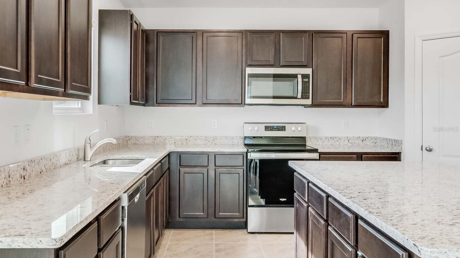 1209 LIMBALI ST, MOUNT DORA, FL, 32757