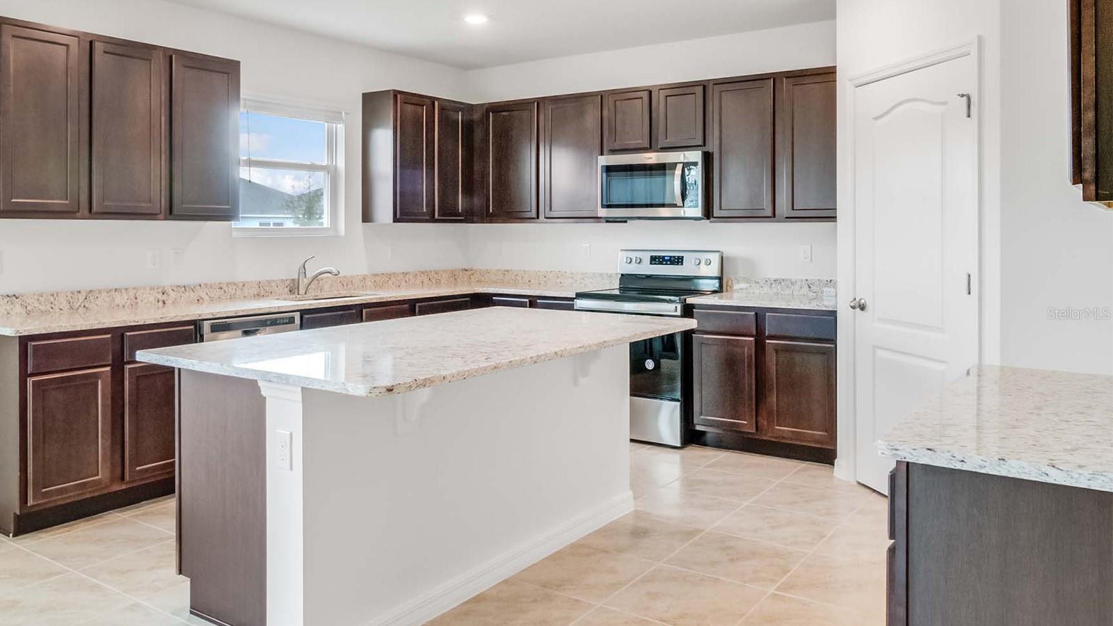 1209 LIMBALI ST, MOUNT DORA, FL, 32757