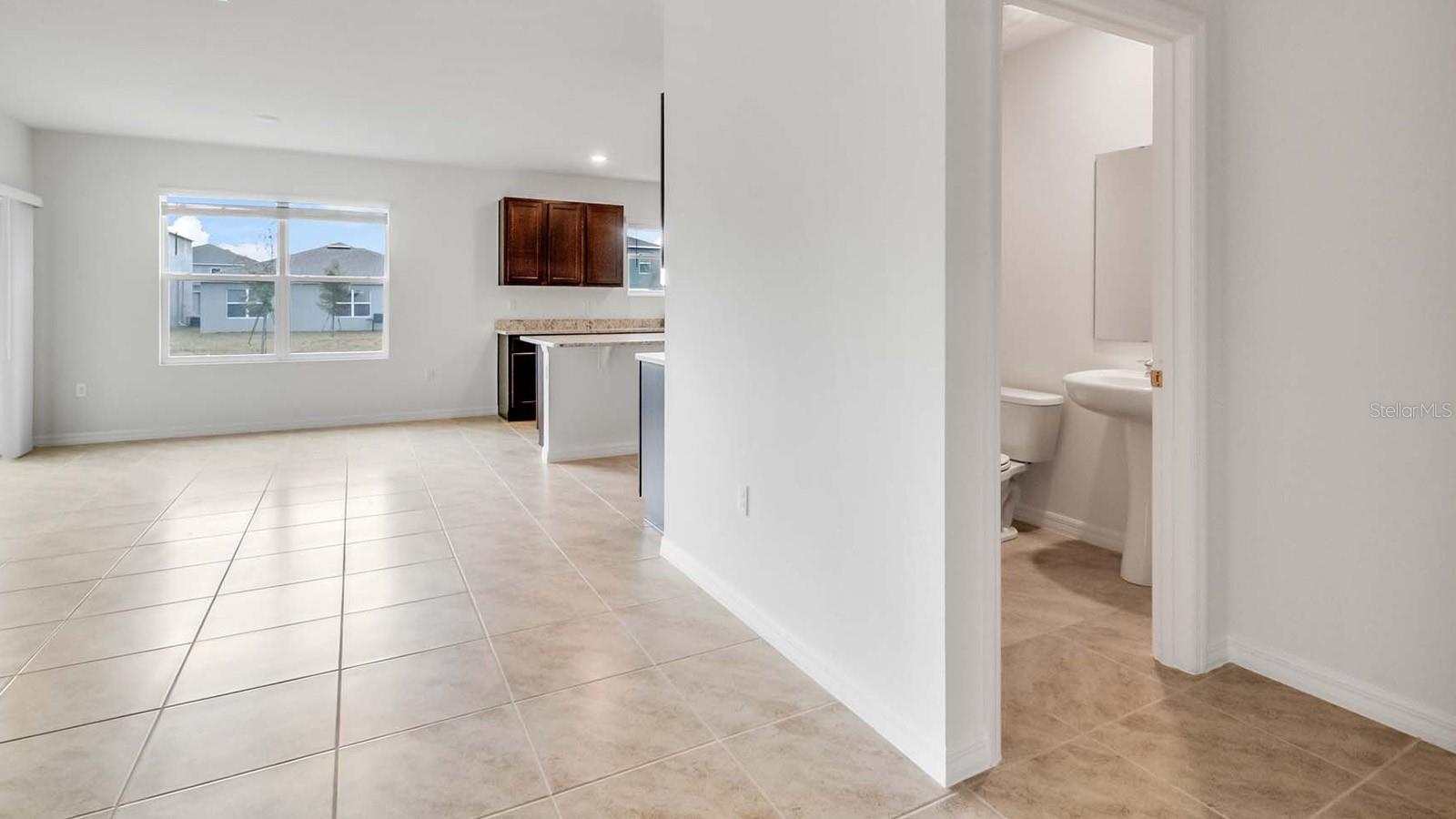 1209 LIMBALI ST, MOUNT DORA, FL, 32757