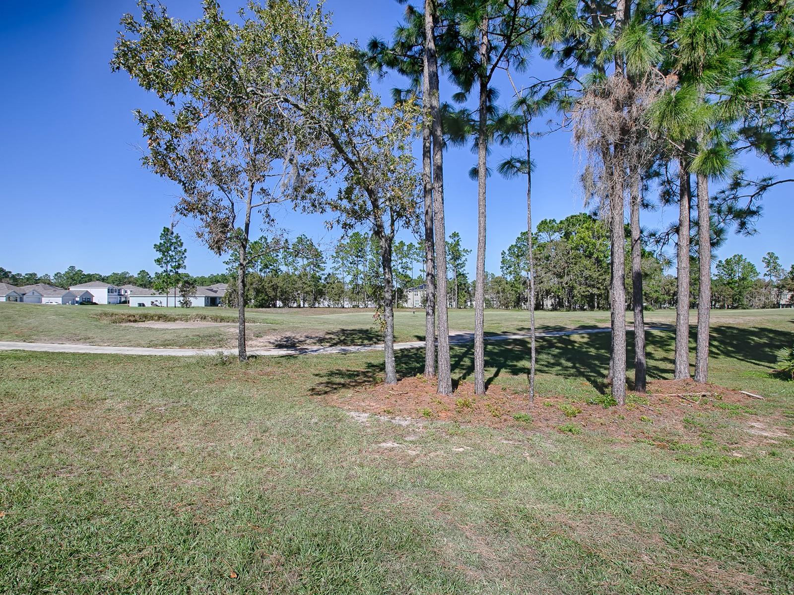 149 HICKORY COURSE CIR, OCALA, FL, 34472