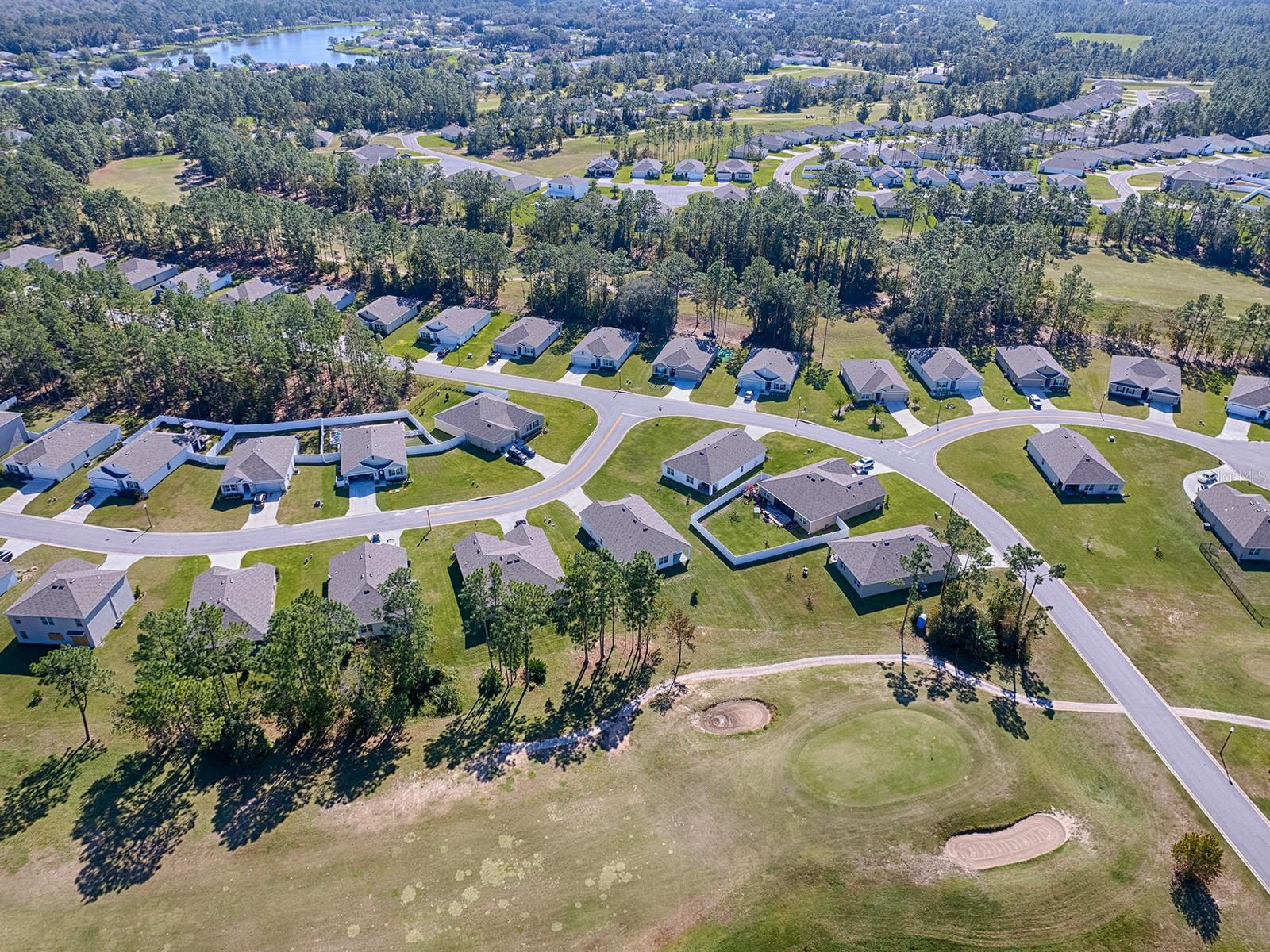 149 HICKORY COURSE CIR, OCALA, FL, 34472