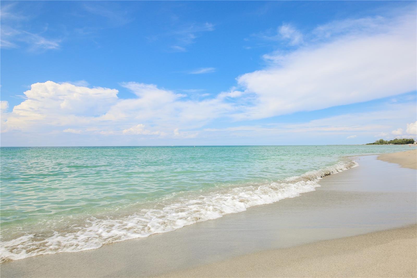 815 MONTROSE DR #103, VENICE, FL, 34293