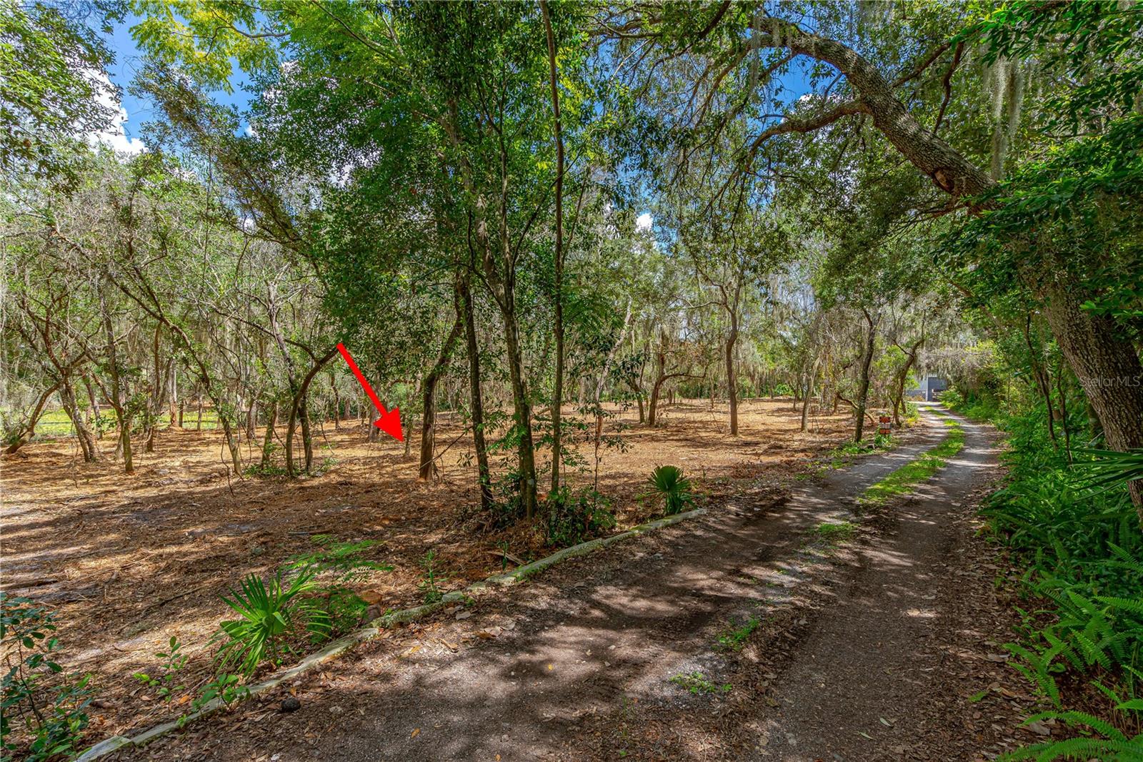TBD TWIN OAK ST, DELTONA, FL, 32725