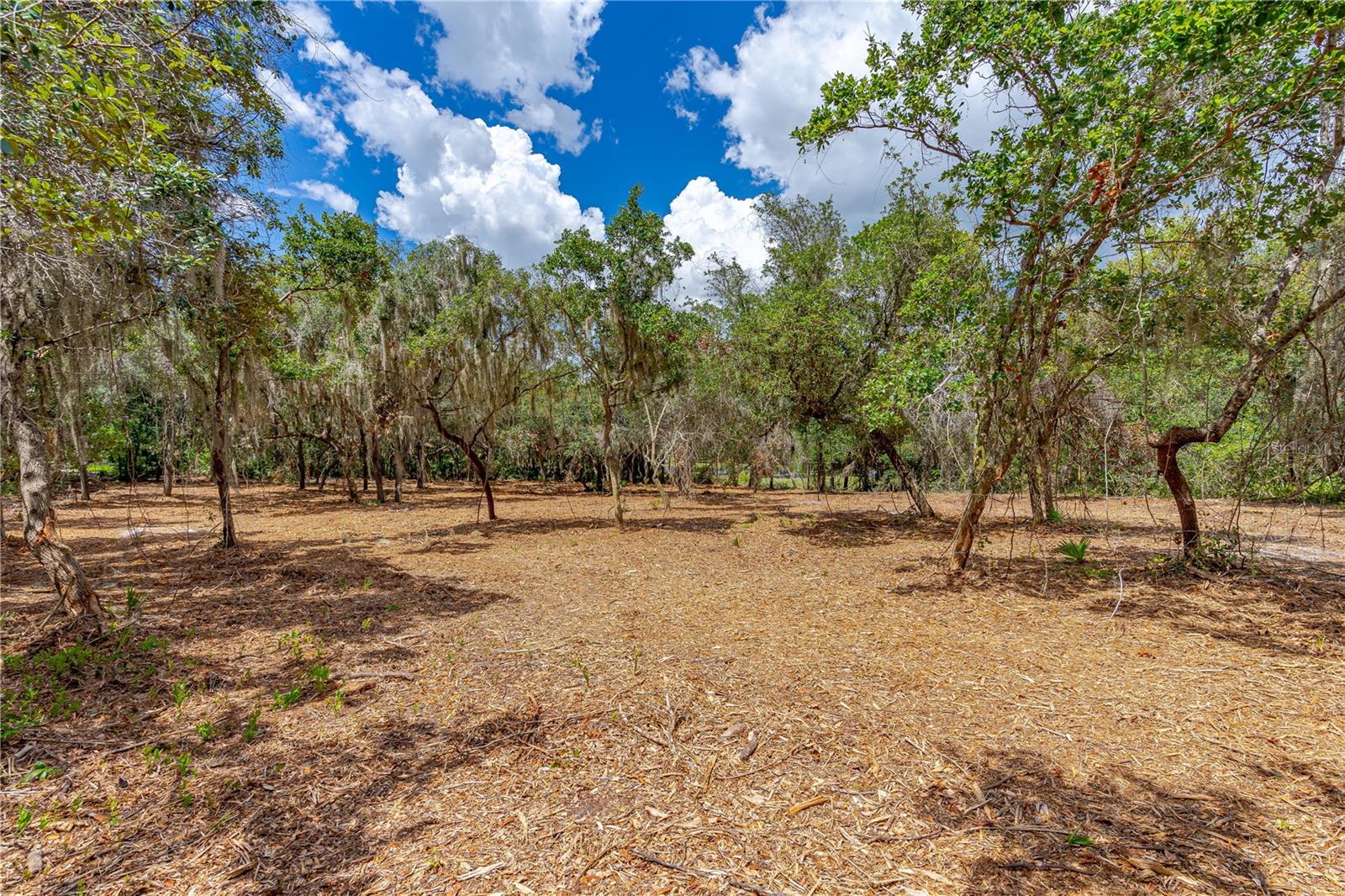 TBD TWIN OAK ST, DELTONA, FL, 32725