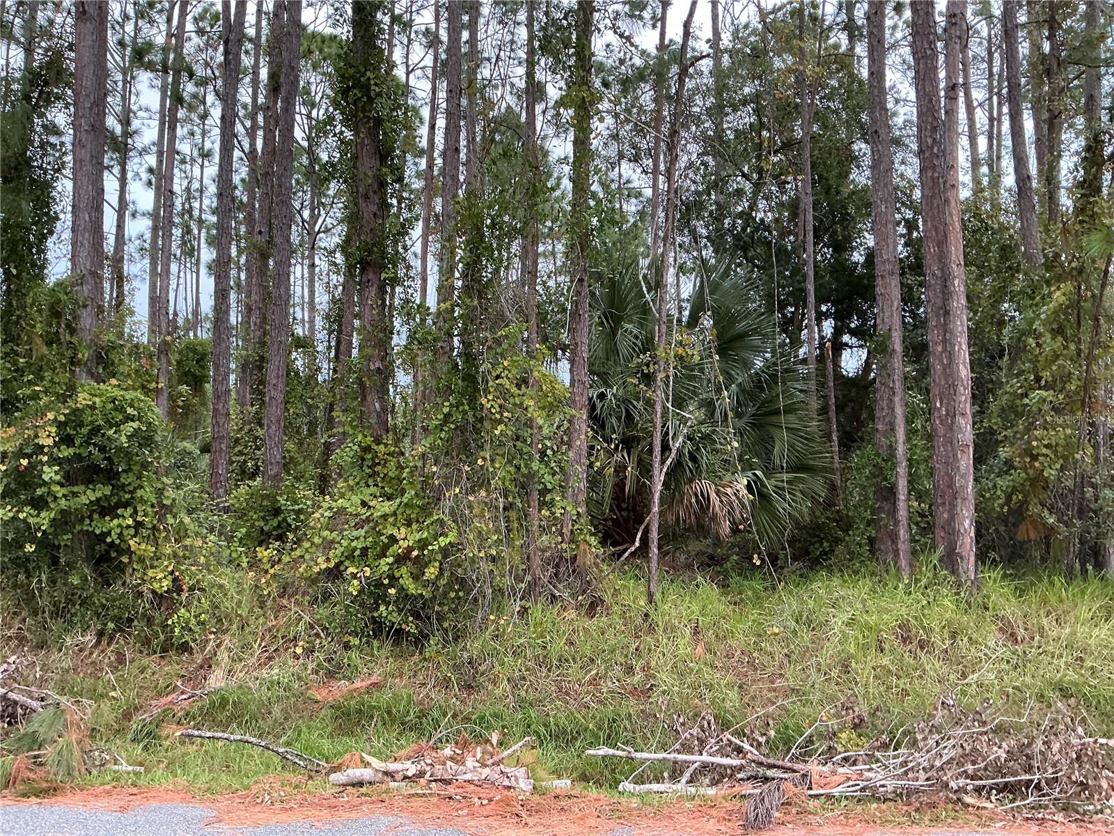 42 EASTWOOD DR, PALM COAST, FL, 32164