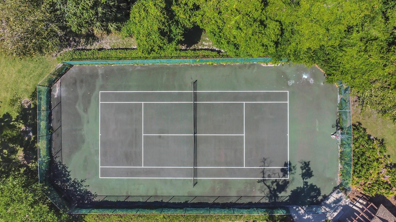 2939 YUCCA CT, PALM HARBOR, FL, 34684