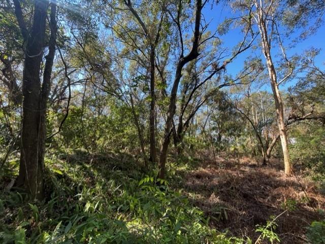 BALDWIN AVE, TAMPA, FL, 33619