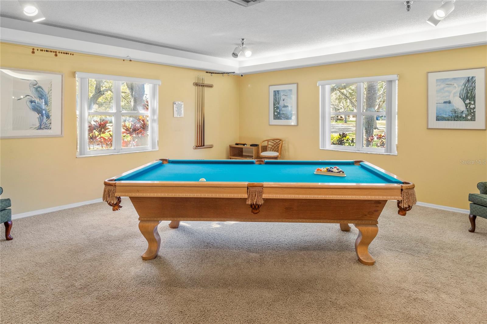 4460 FAIRWAYS BLVD #306, BRADENTON, FL, 34209