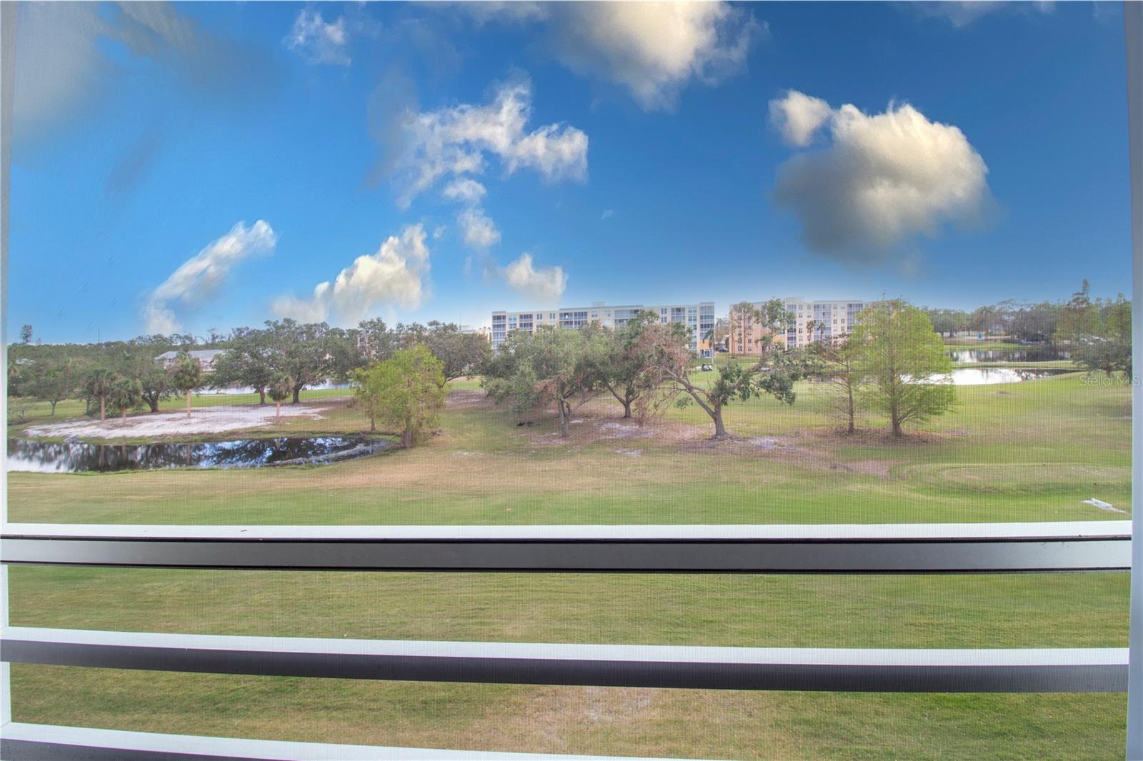 4460 FAIRWAYS BLVD #306, BRADENTON, FL, 34209