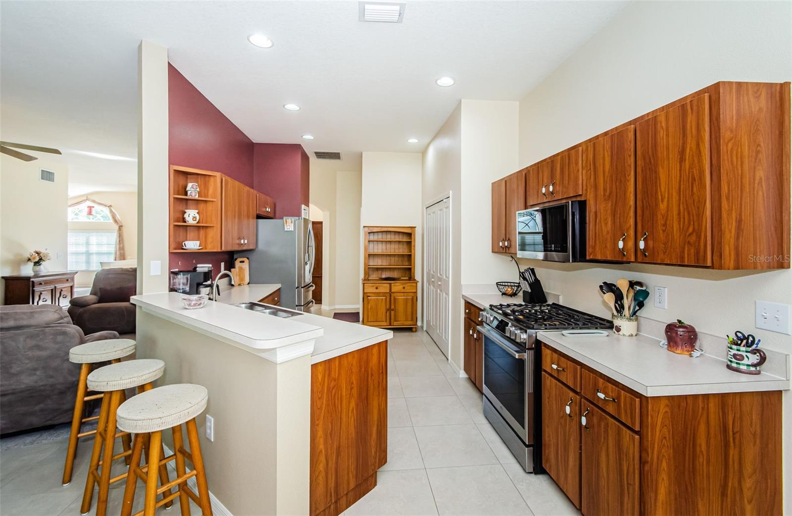 29414 ALLEGRO DR, WESLEY CHAPEL, FL, 33543