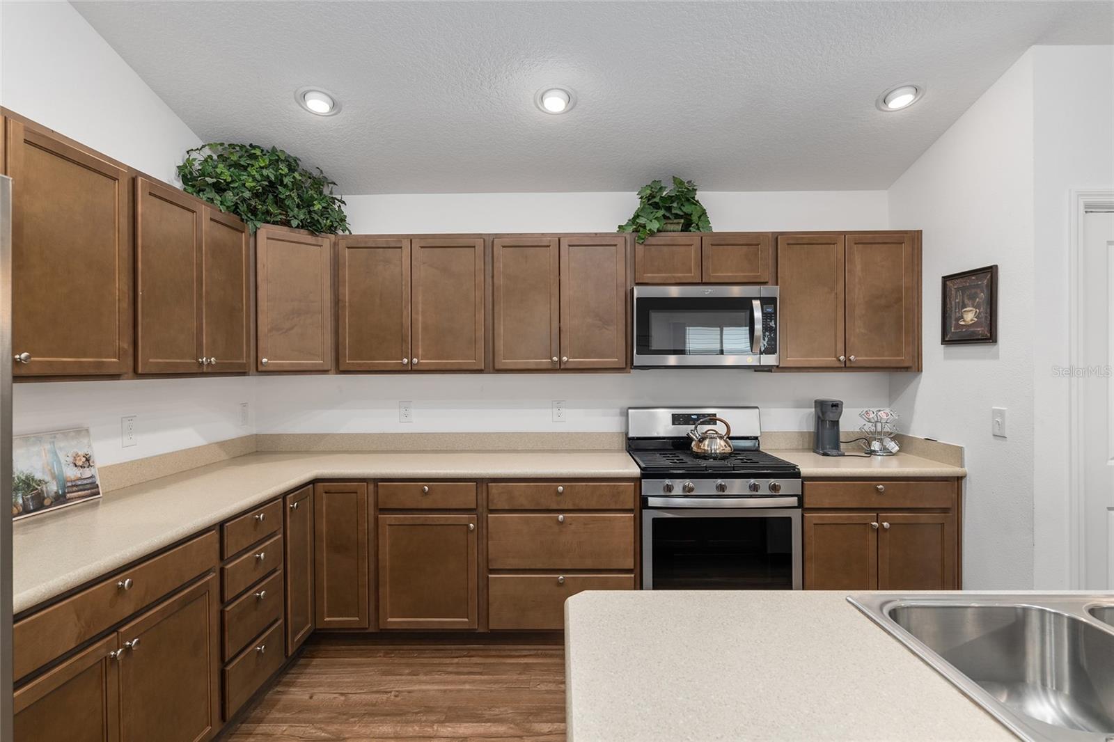 5627 VAN WINKLE TER, THE VILLAGES, FL, 32163