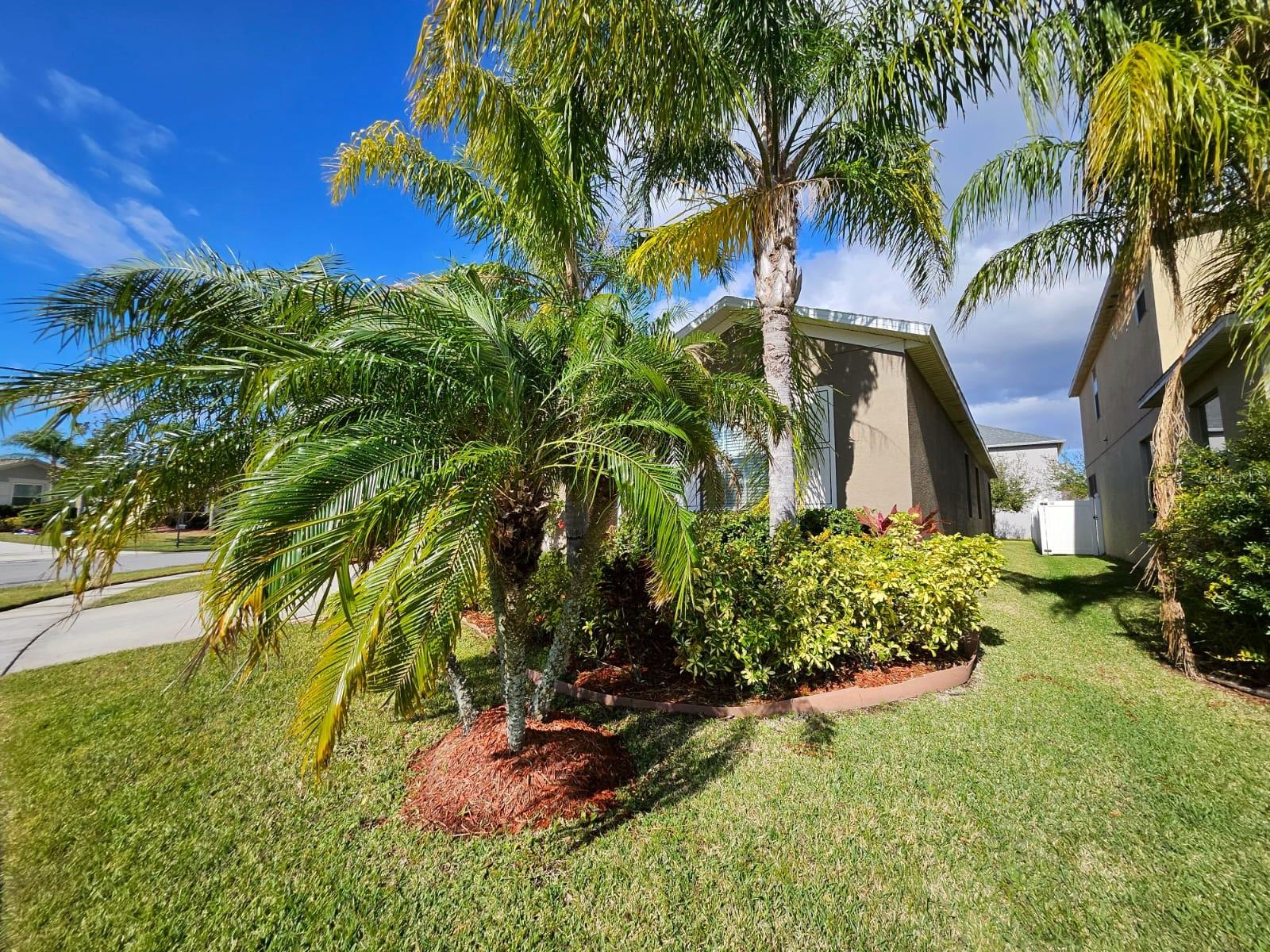 2530 CARRICKTON CIR, ORLANDO, FL, 32824