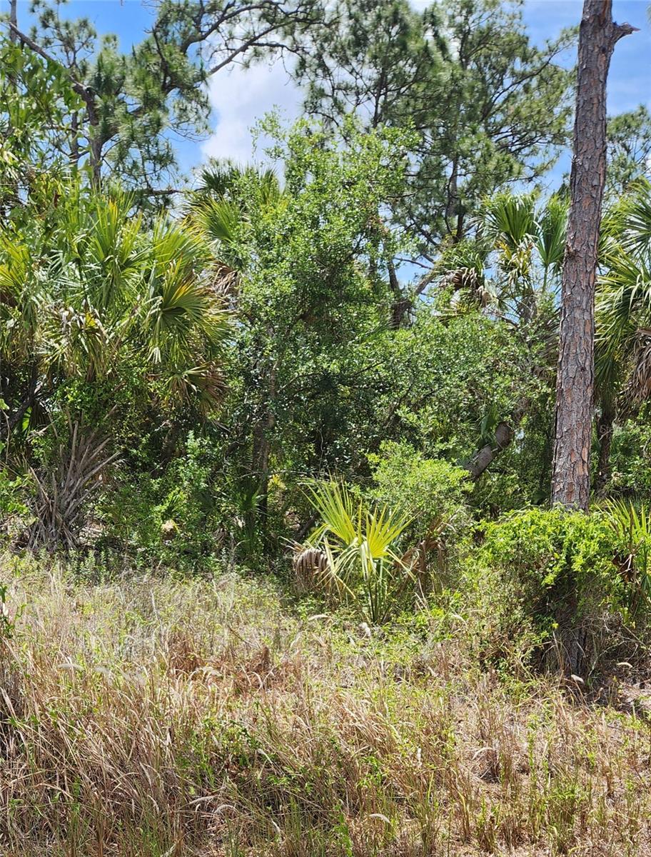INVERNESS ST, NORTH PORT, FL, 34288