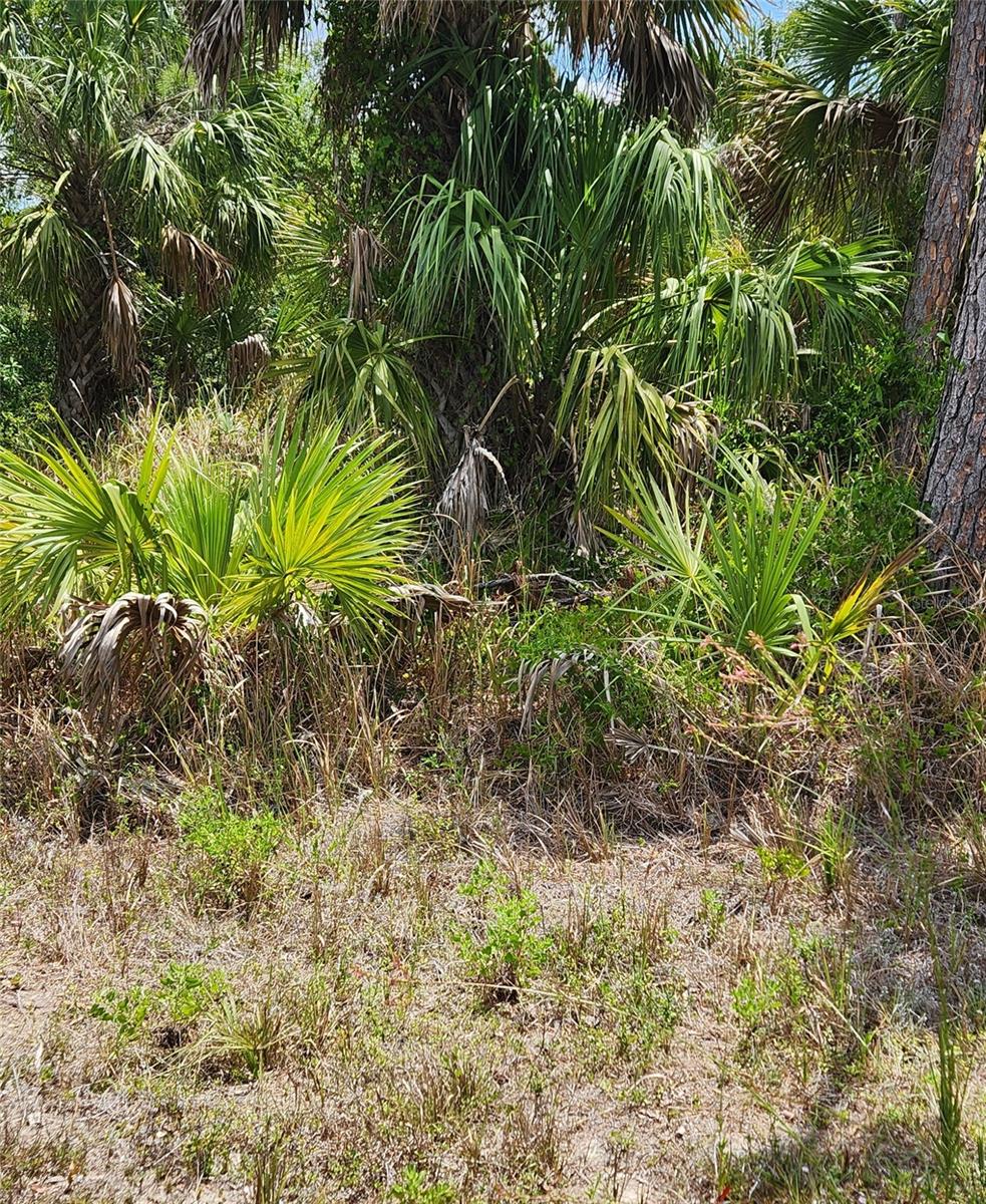 INVERNESS ST, NORTH PORT, FL, 34288