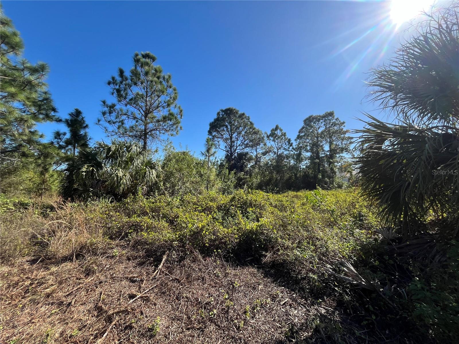 707 BAHAMA AVE S, LEHIGH ACRES, FL, 33974