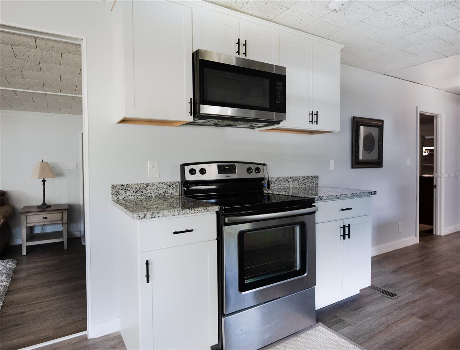 13349 WOODLAND DR, ASTATULA, FL, 34705