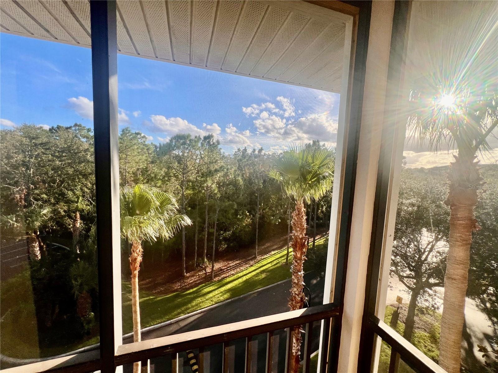 3050 PIRATES RETREAT CT #402, KISSIMMEE, FL, 34747