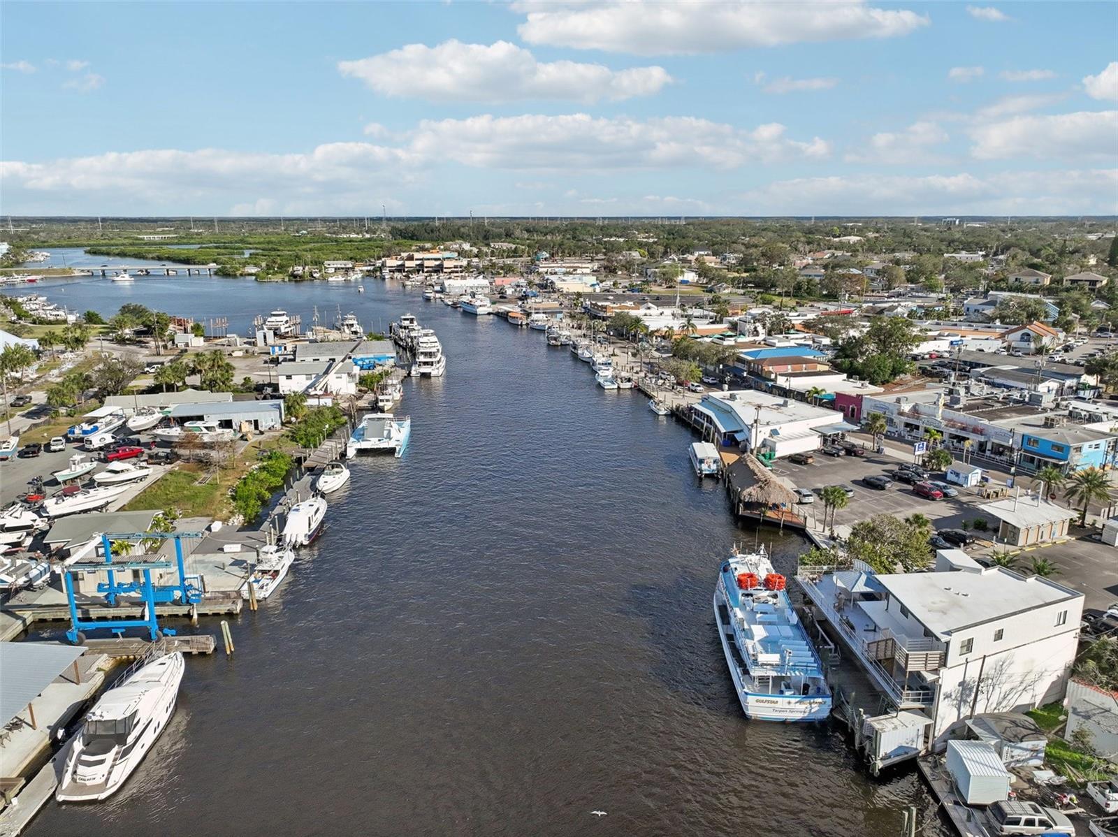 56 W PARK ST, TARPON SPRINGS, FL, 34689