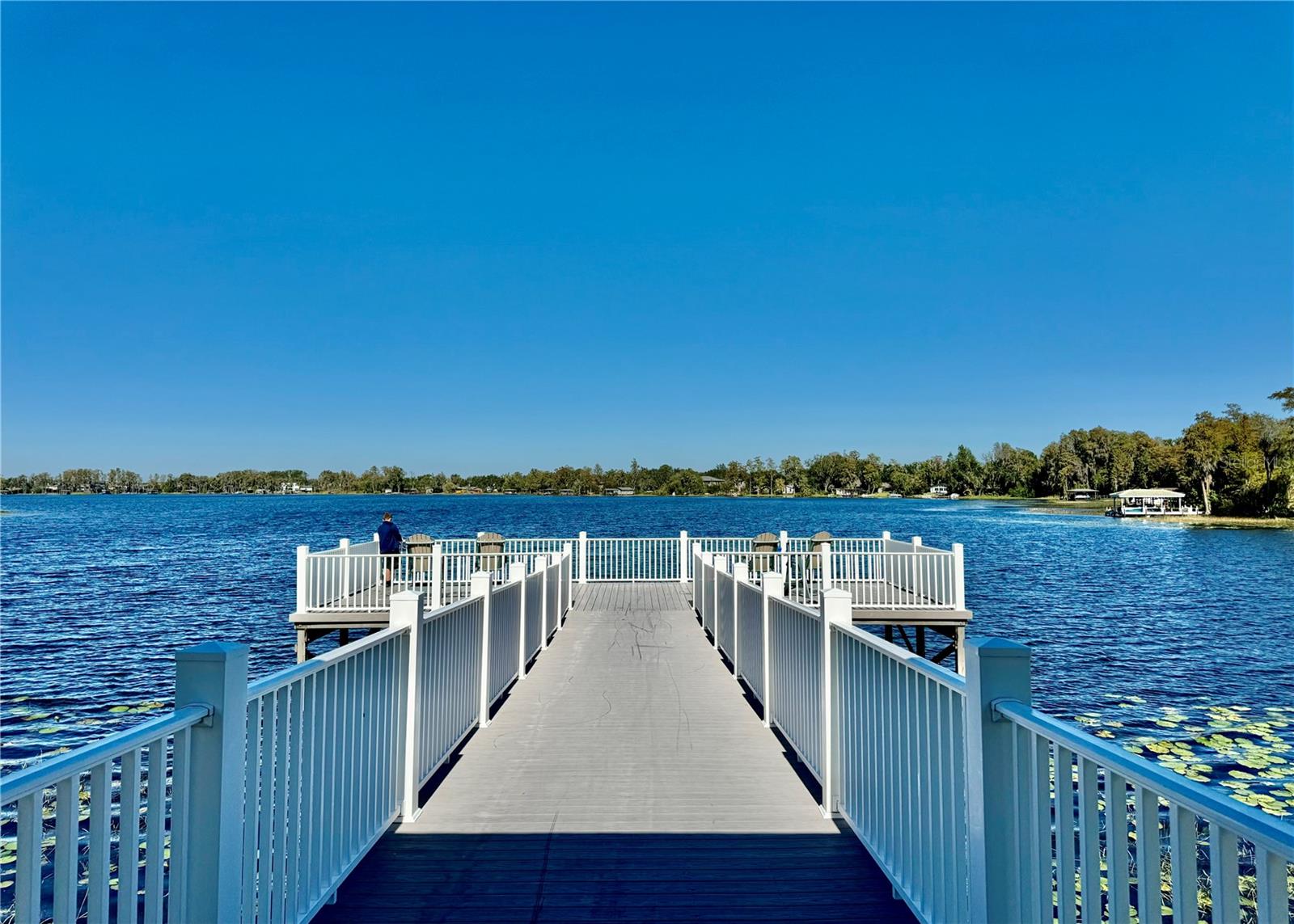 6963 NORTHWICH DR, WINDERMERE, FL, 34786