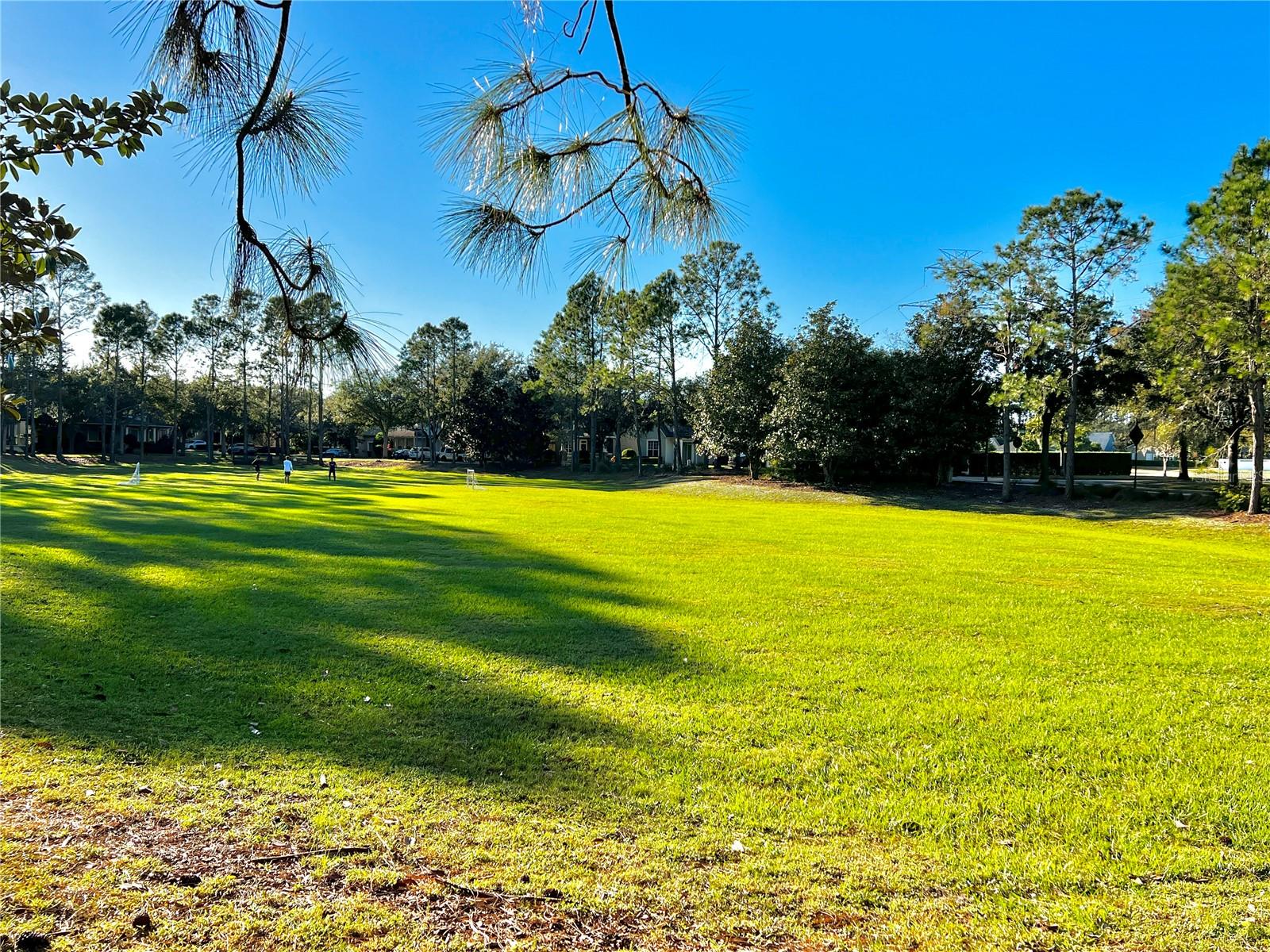 6963 NORTHWICH DR, WINDERMERE, FL, 34786