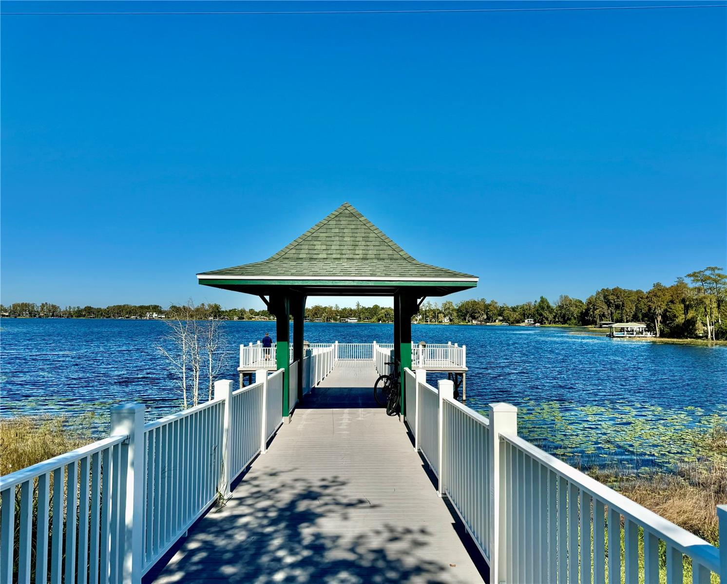 6963 NORTHWICH DR, WINDERMERE, FL, 34786