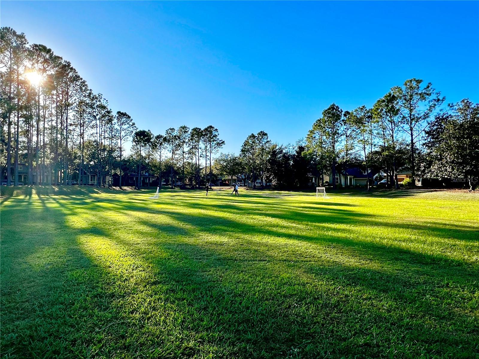 6963 NORTHWICH DR, WINDERMERE, FL, 34786