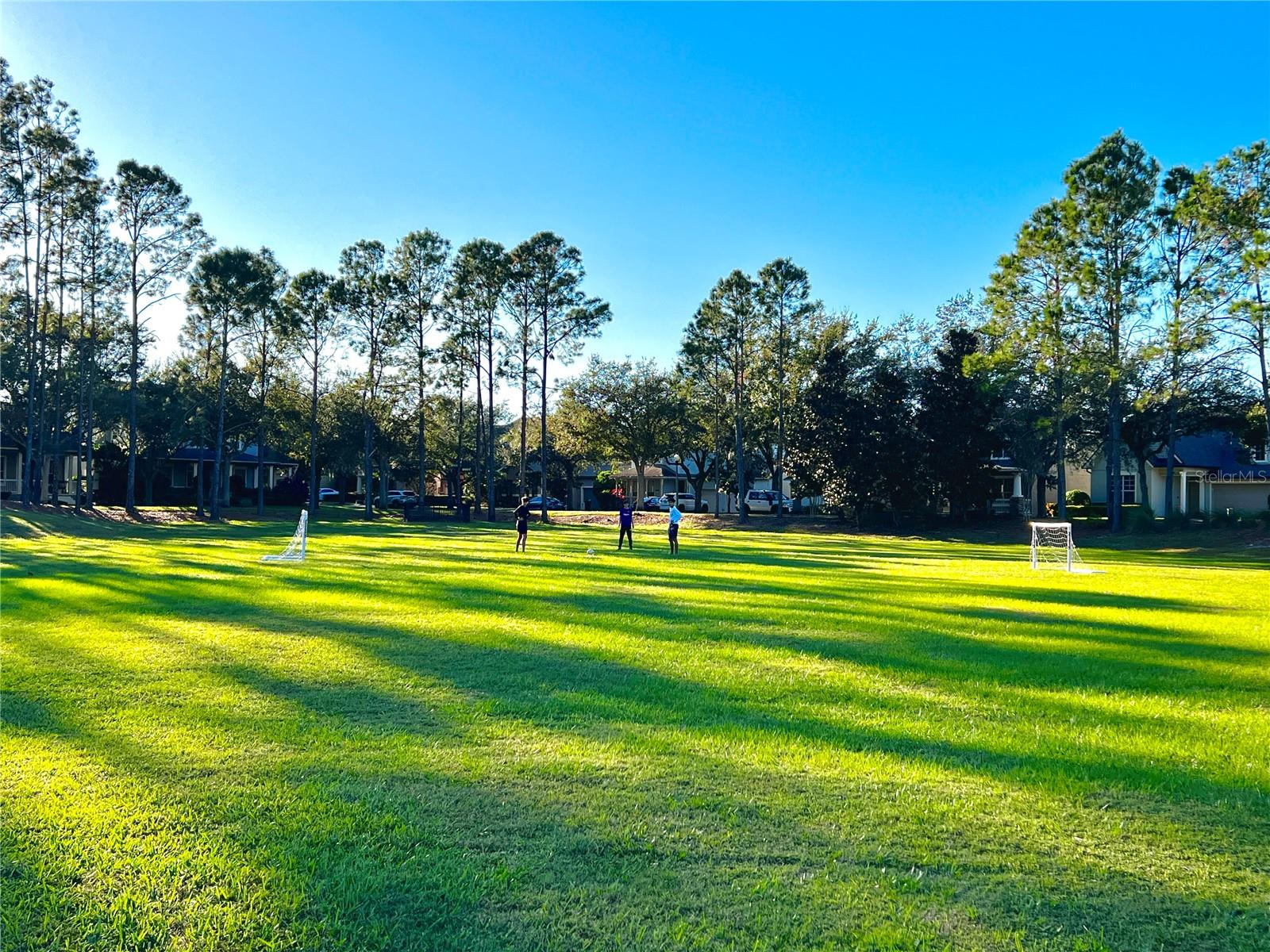6963 NORTHWICH DR, WINDERMERE, FL, 34786