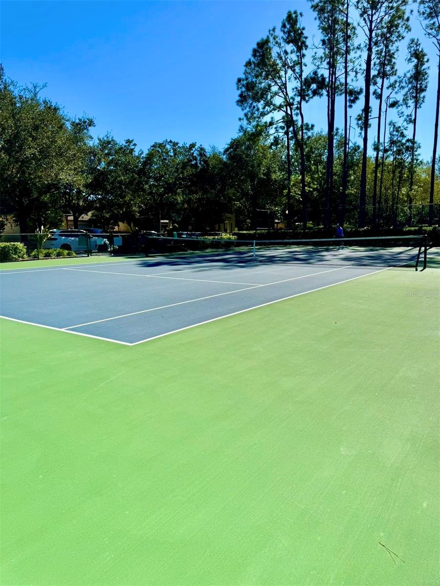 6963 NORTHWICH DR, WINDERMERE, FL, 34786