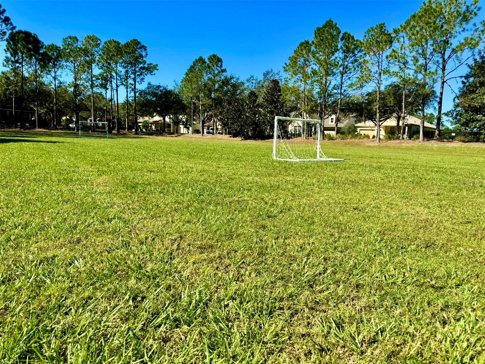 6963 NORTHWICH DR, WINDERMERE, FL, 34786