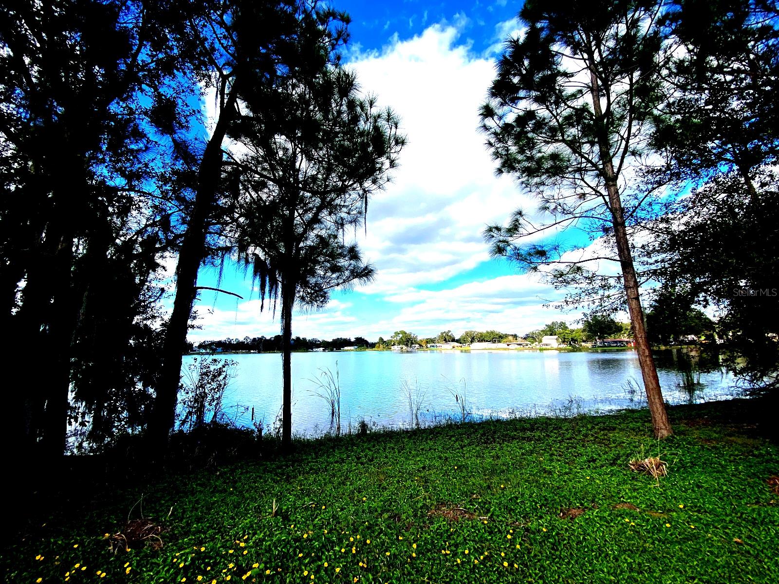 706 MEANDERING WAY, POLK CITY, FL, 33868