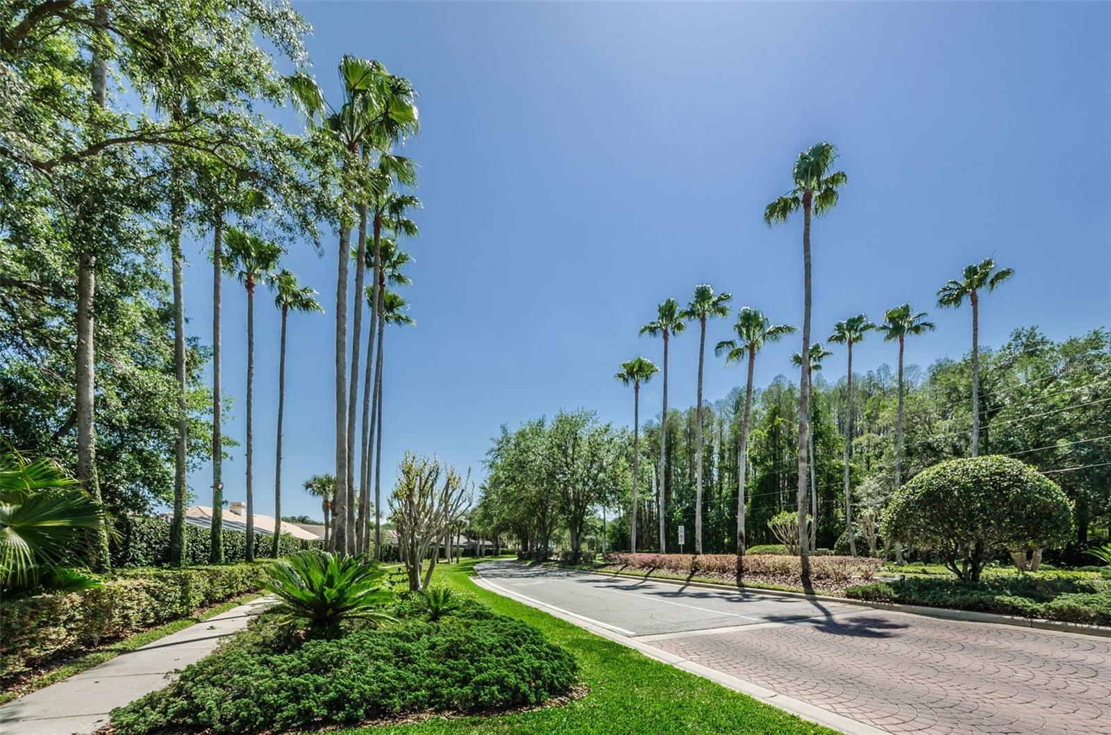 1100 TRAFALGAR DR, NEW PORT RICHEY, FL, 34655