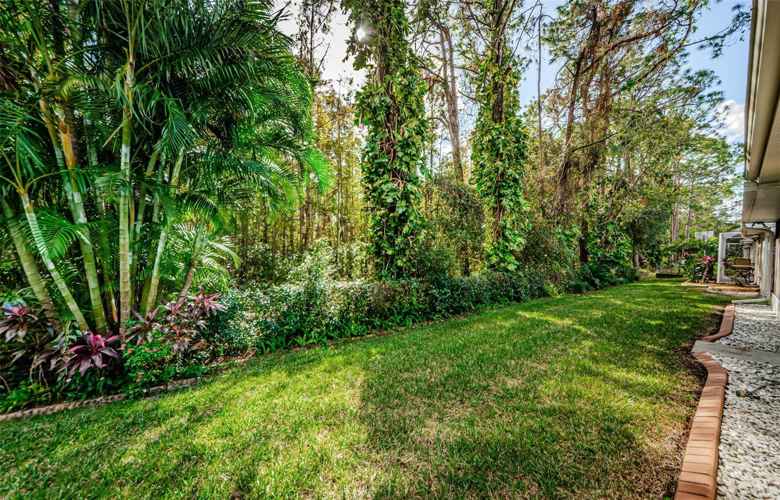 1100 TRAFALGAR DR, NEW PORT RICHEY, FL, 34655