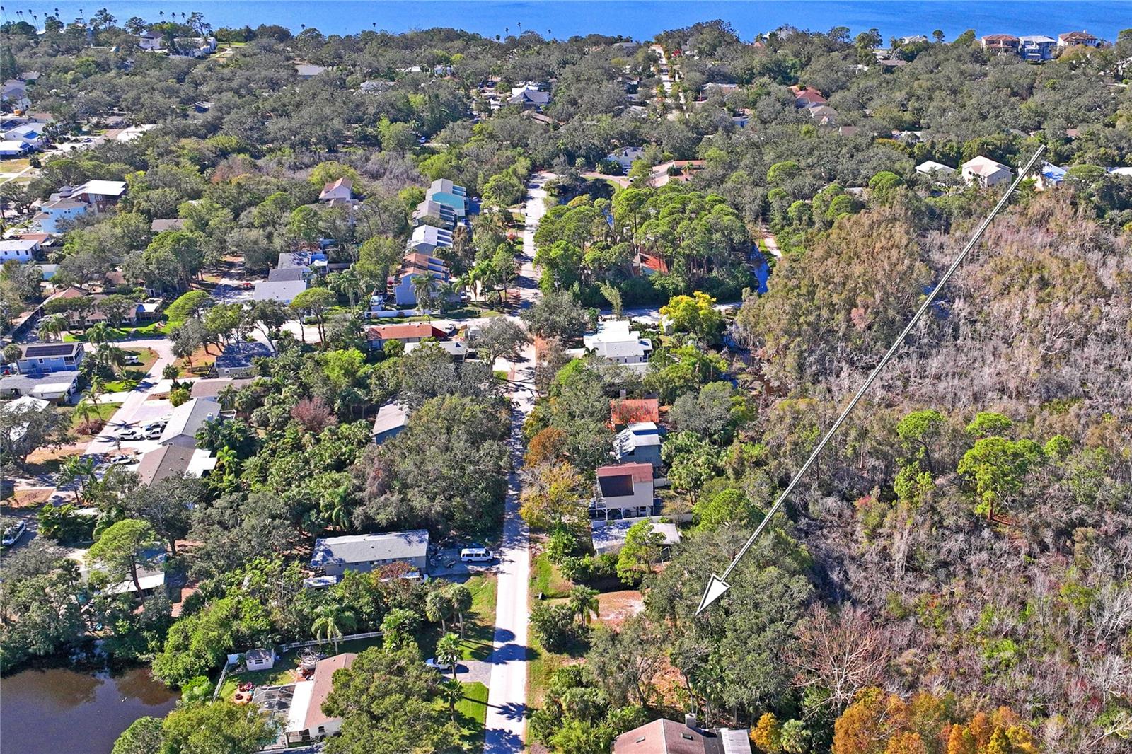 174 AVERY AVE #20&2, CRYSTAL BEACH, FL, 34681