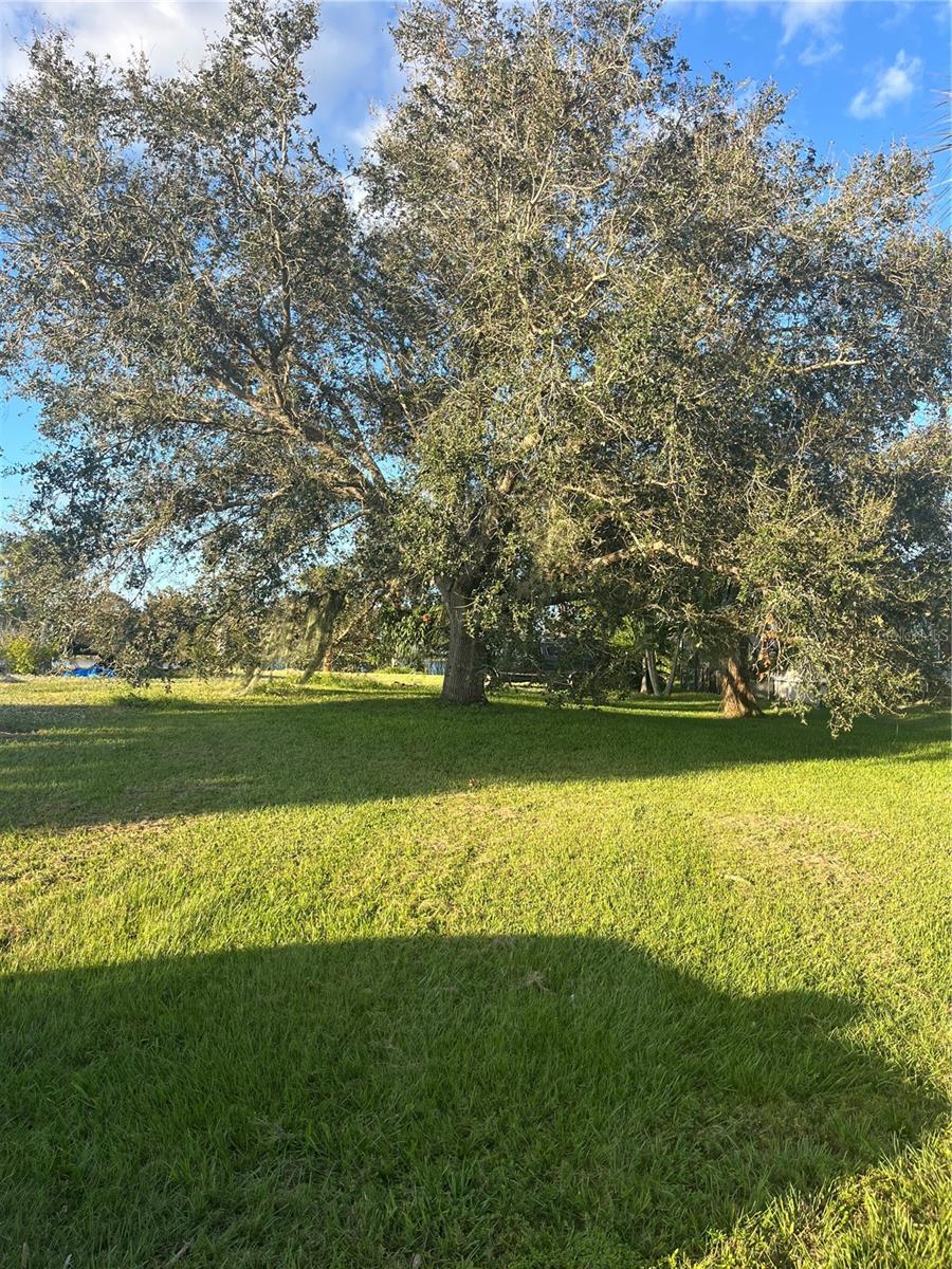 1175 FRIENDSHIP DRIVE, MOORE HAVEN, FL, 33471