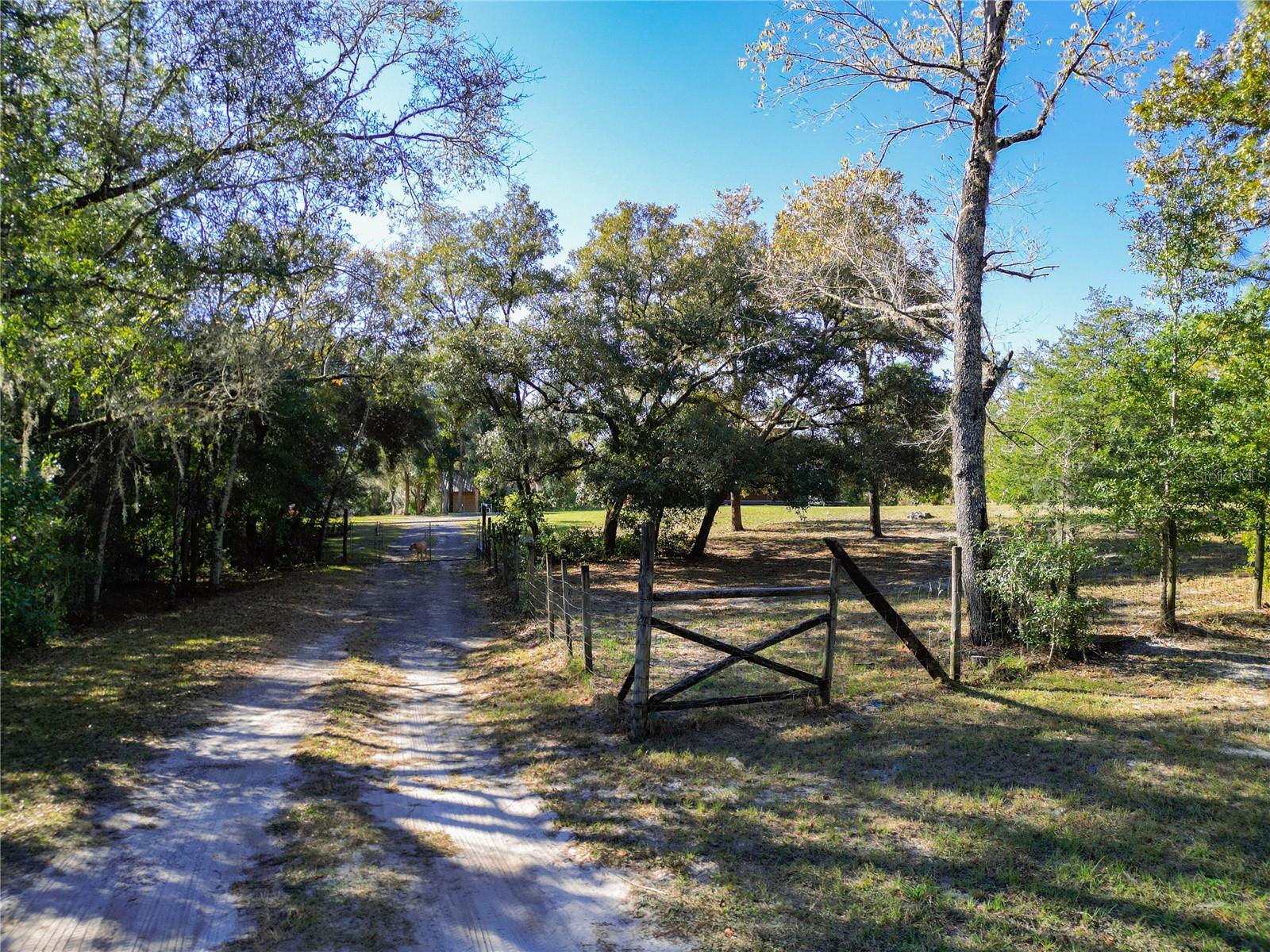 9300 SW 155TH ST, DUNNELLON, FL, 34432