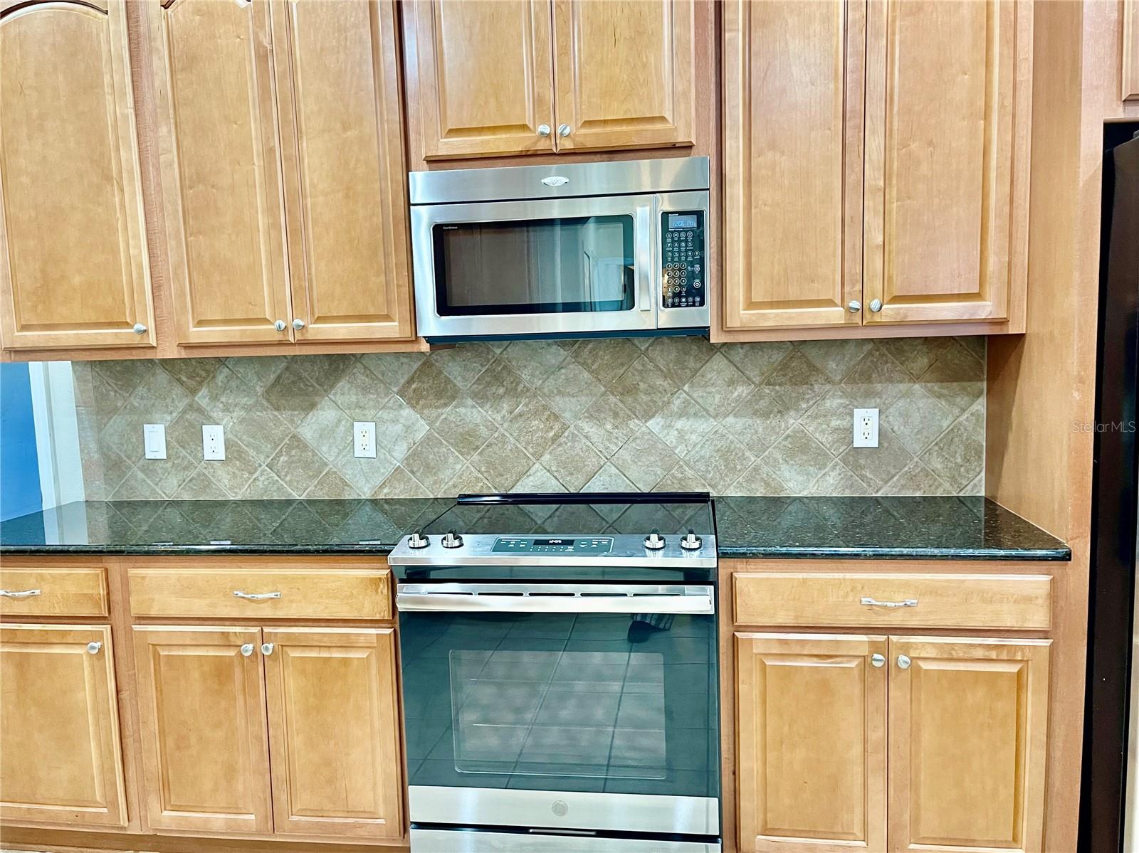 9654 JASMINE BROOK CIR, LAND O LAKES, FL, 34638