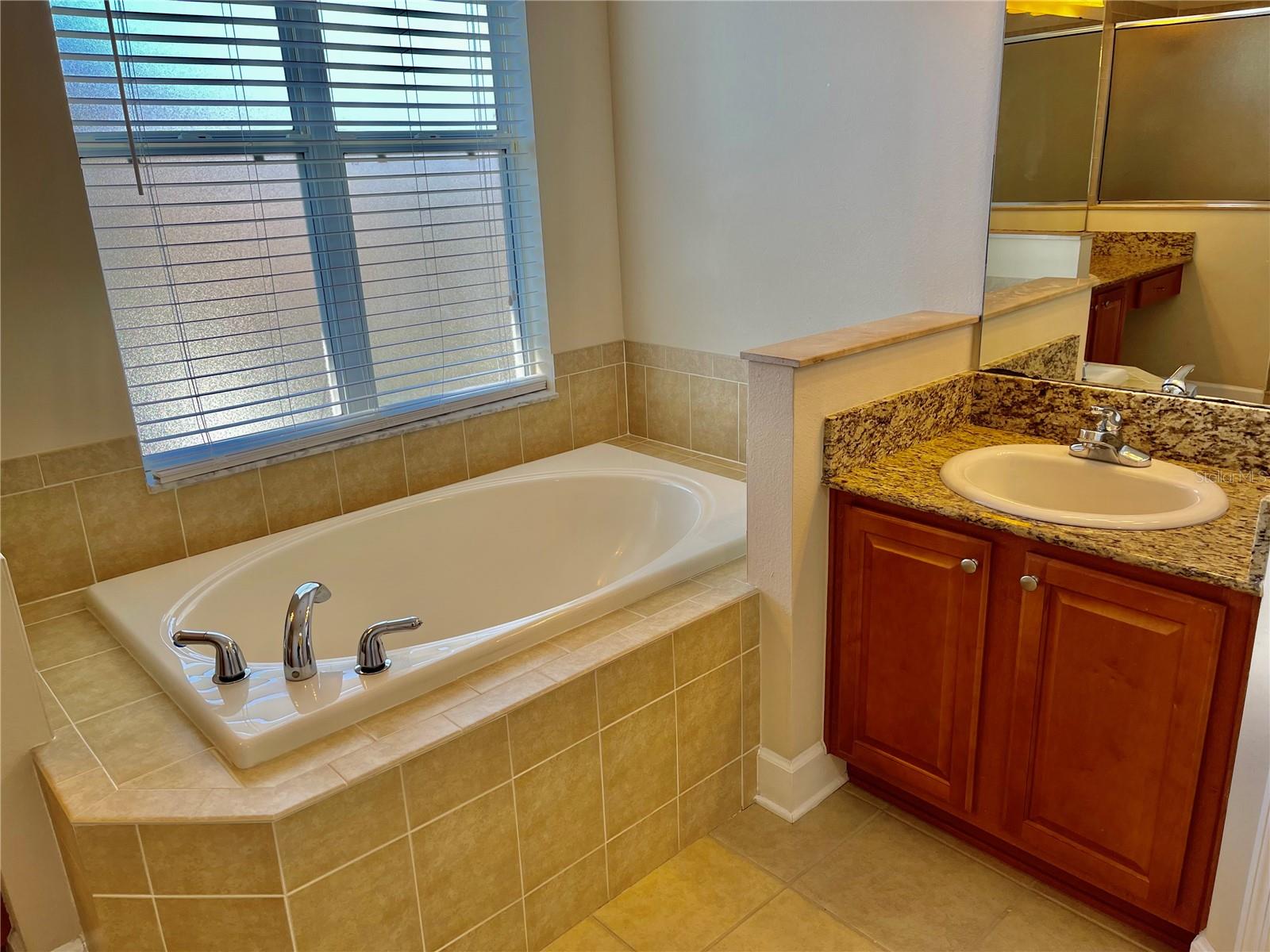 9654 JASMINE BROOK CIR, LAND O LAKES, FL, 34638