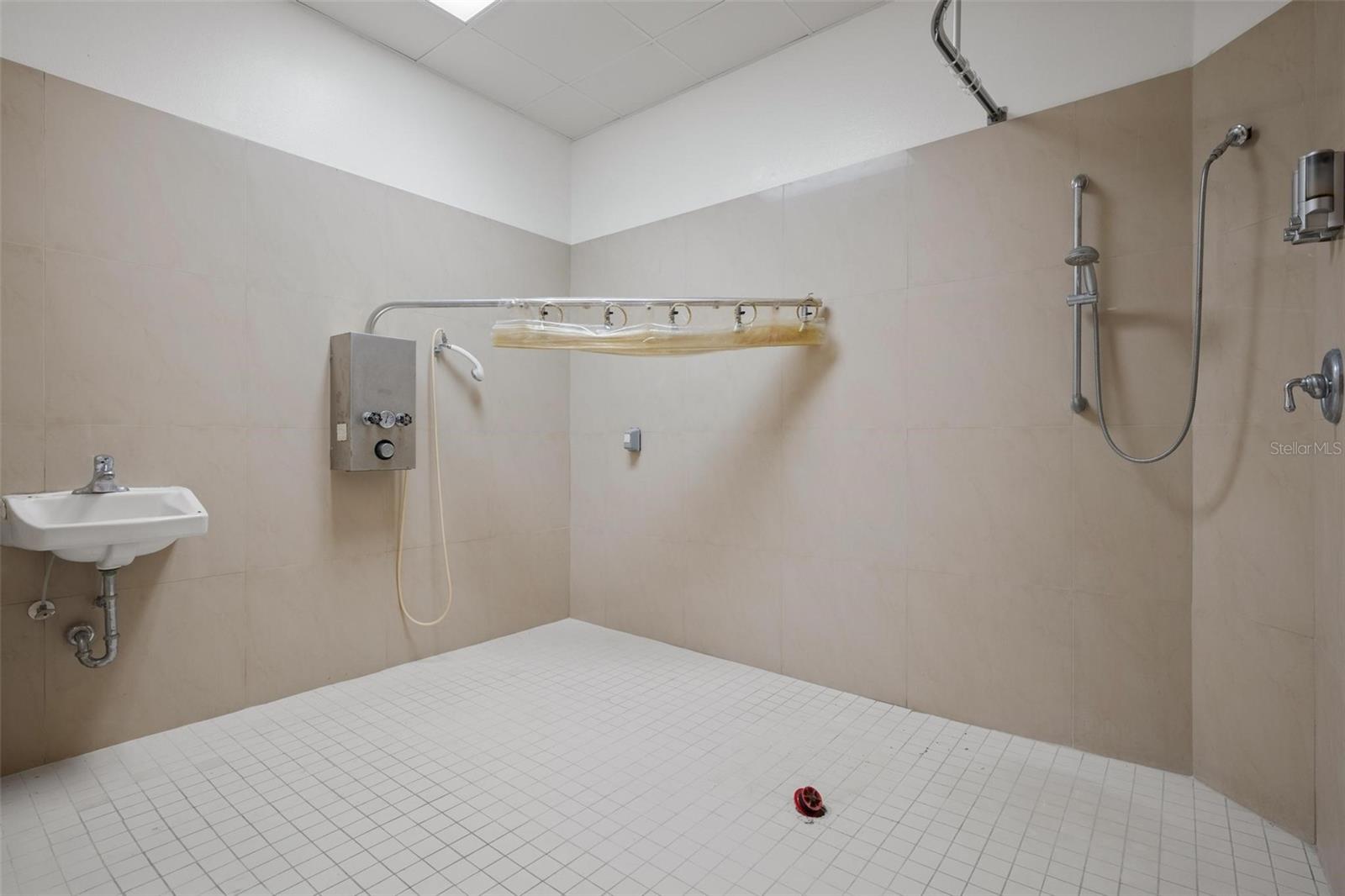 3730 TAMPA RD #3730-B, PALM HARBOR, FL, 34684