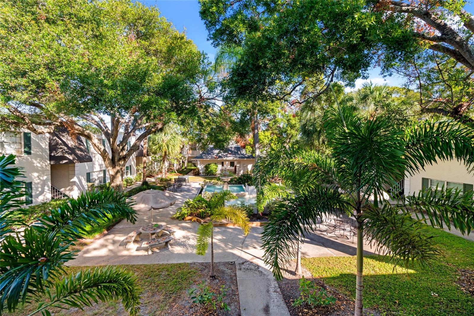 4335 AEGEAN DR #240A, TAMPA, FL, 33611
