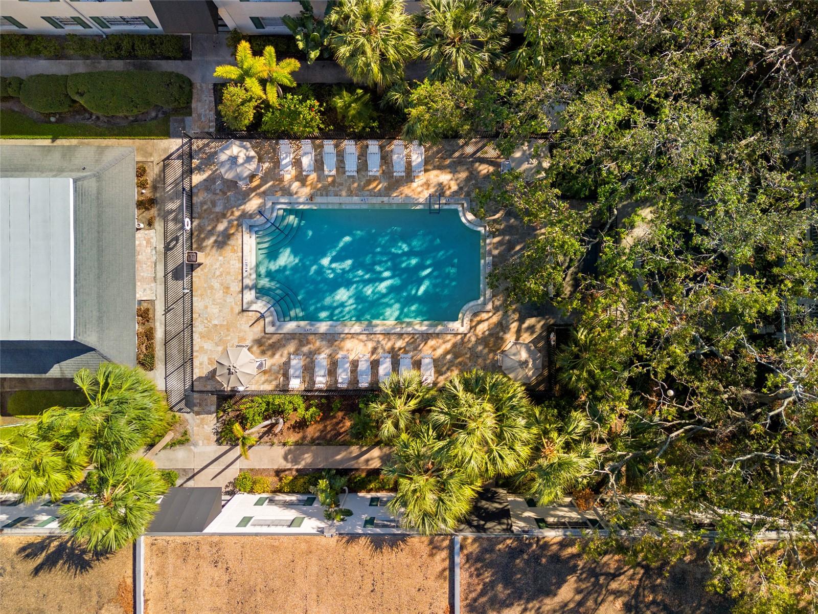 4335 AEGEAN DR #240A, TAMPA, FL, 33611