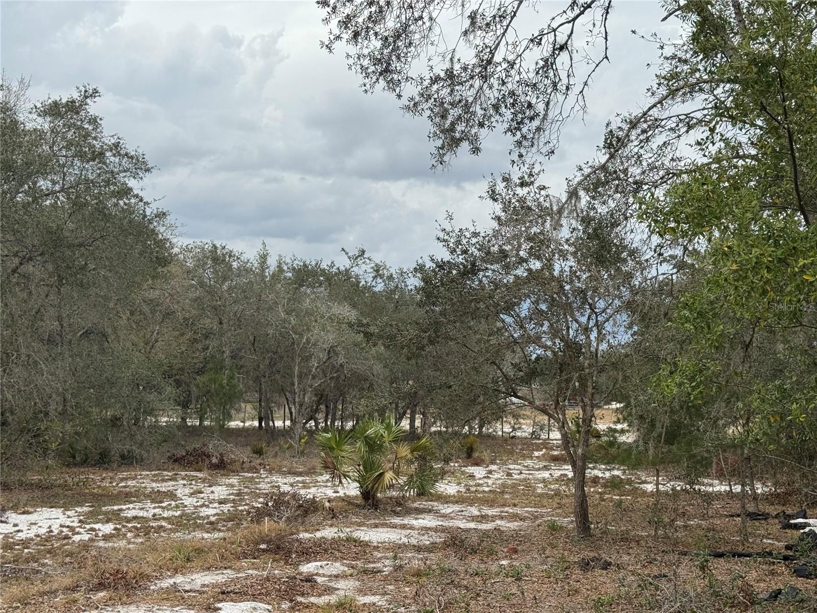 2728 ADAIR RD, DAVENPORT, FL, 33837